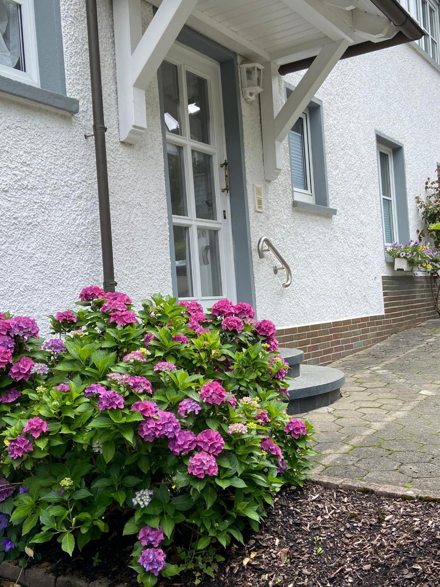 Pension / Ferienwohnung Allebrodt Lennestadt Kültér fotó